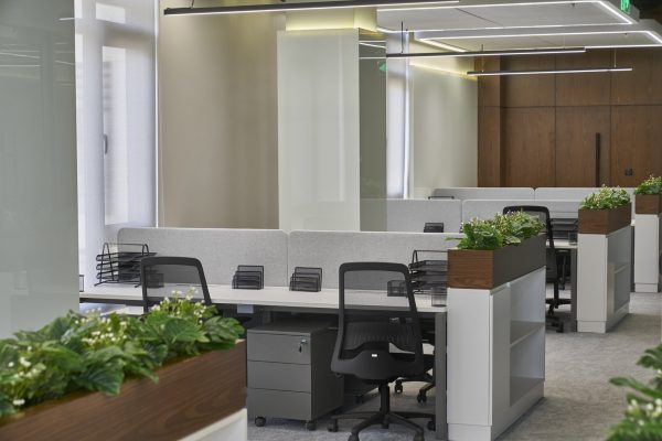 INNOVO X ECM00789 Recovered Optimized