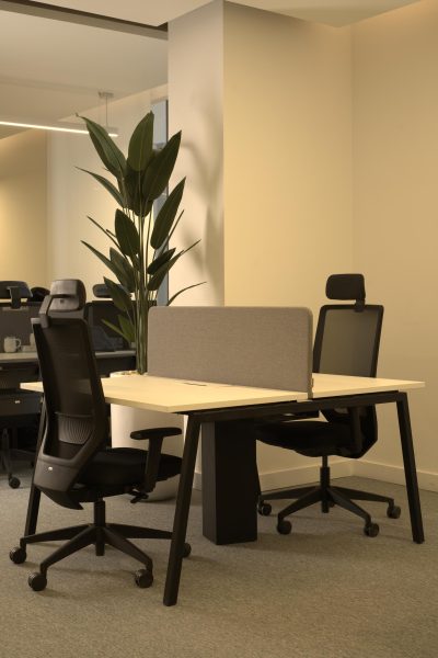 Innove X Savola 15 02 20251873